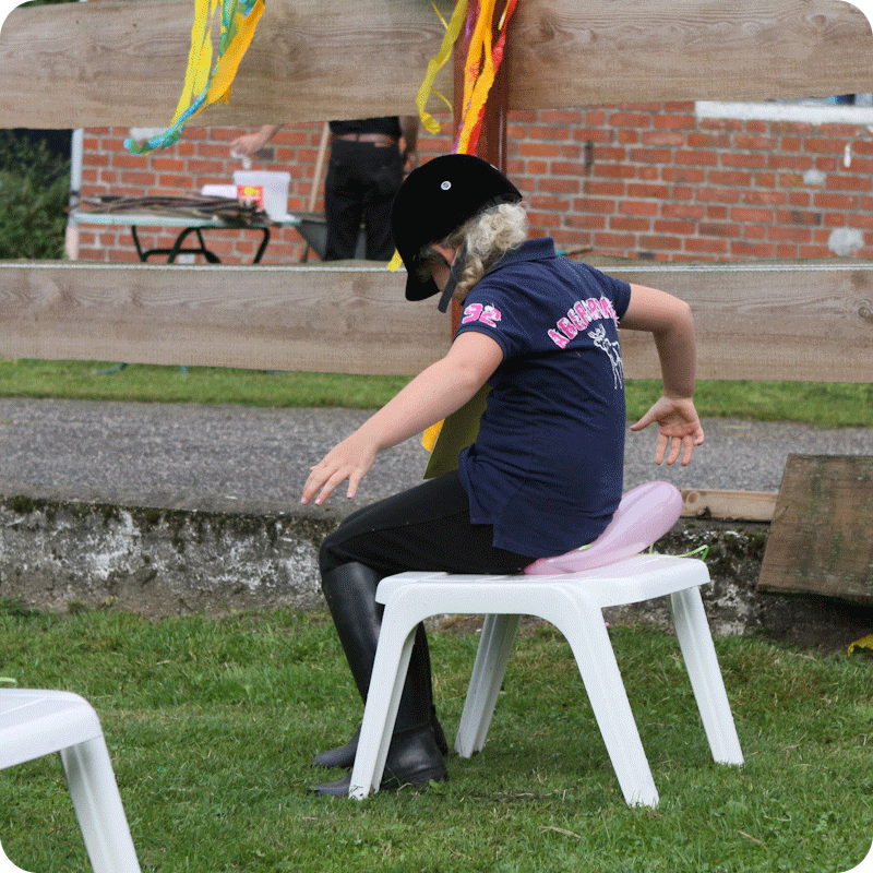 Sommerfest Hof PonyGlück 2015